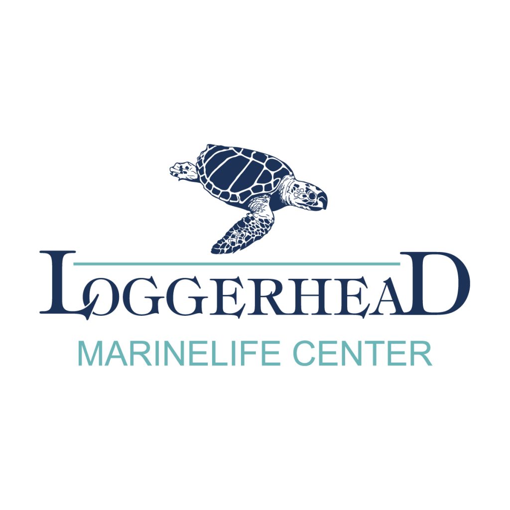 A sea turtle with the Loggerhead Marinelife Center logo below it.